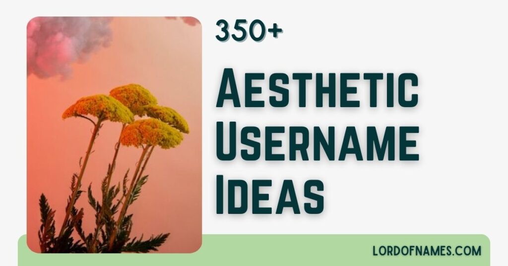 Aesthetic Usernames