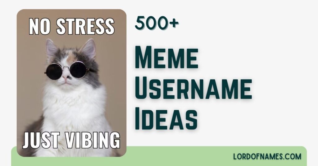 509 Best Witty and Whimsical Meme Usernames Meme Usernames