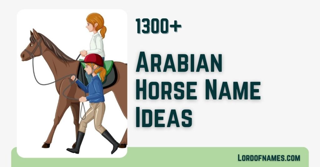 Arabian Horse Names - LordOfNames