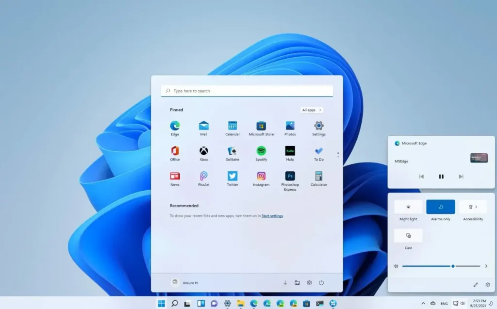 Type 11 Explained Key Features and Applications