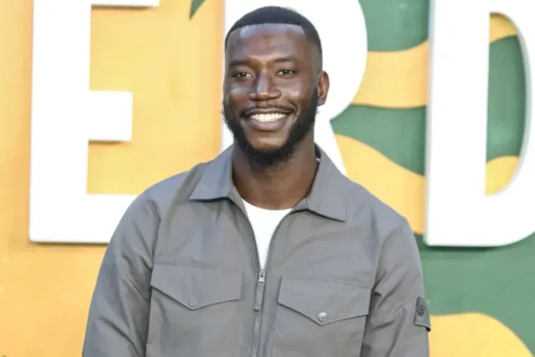 Harry Pinero Age, Height, Weight, Net Worth, Career, And Full Bio In 2025 Harry Pinero Age, Height, Weight, Net Worth, Career, And Full Bio In 2025