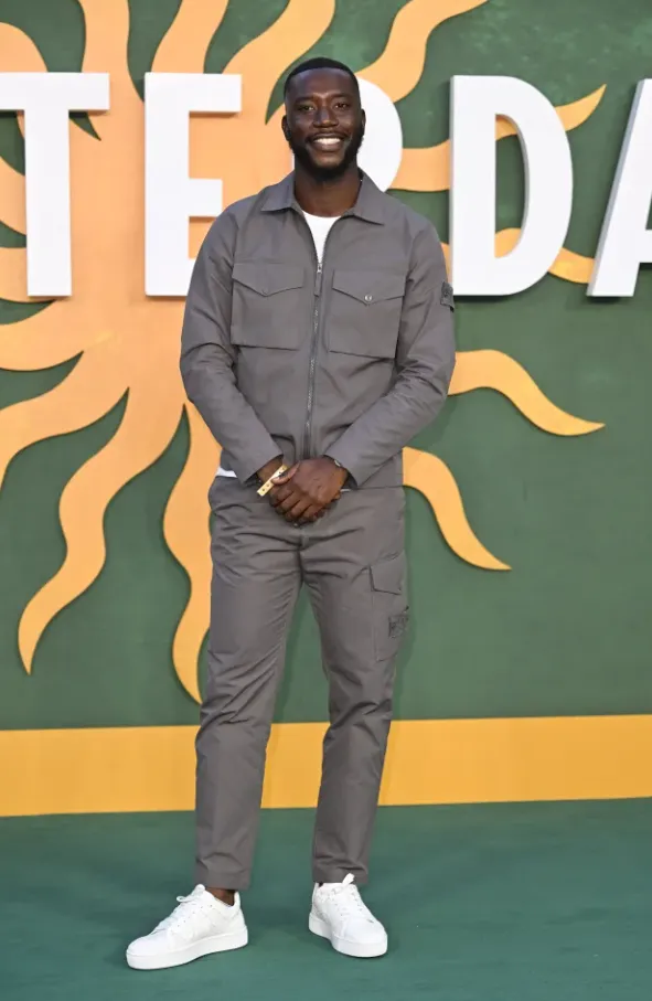 Harry Pinero Age, Height, Weight, Net Worth, Career, And Full Bio In 2025