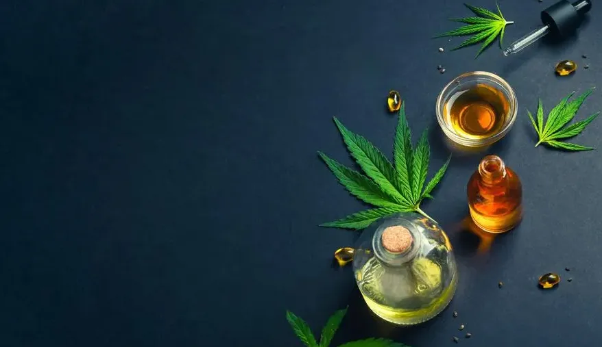 Exploring Popular Cannabis Product Options and Their Benefits Exploring Popular Cannabis Product Options and Their Benefits